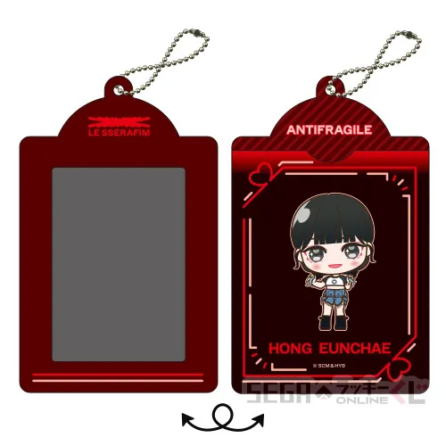 D賞-5 カードケース HONG EUNCHAE [約W8.3cm×H13.4cm]