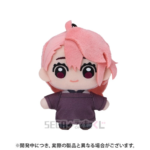 D賞-4 ぬいぐるみマスコット アイラ [全長約10cm]